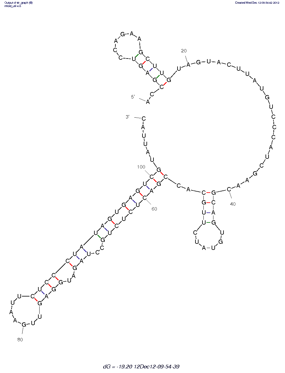 Trypanosoma cruzi-Laminin Parasite Receptor (L28)