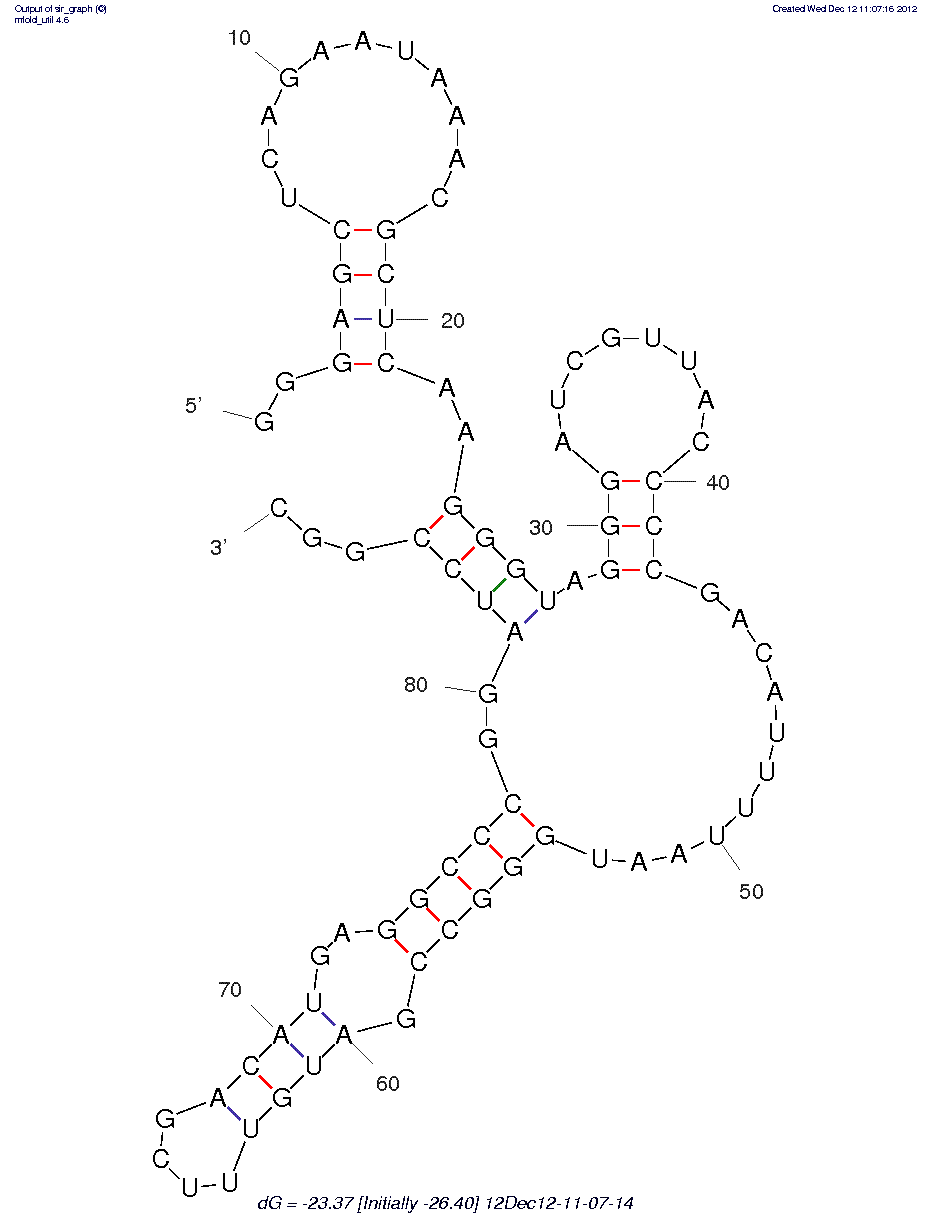 Rous Sarcoma Virus (A)