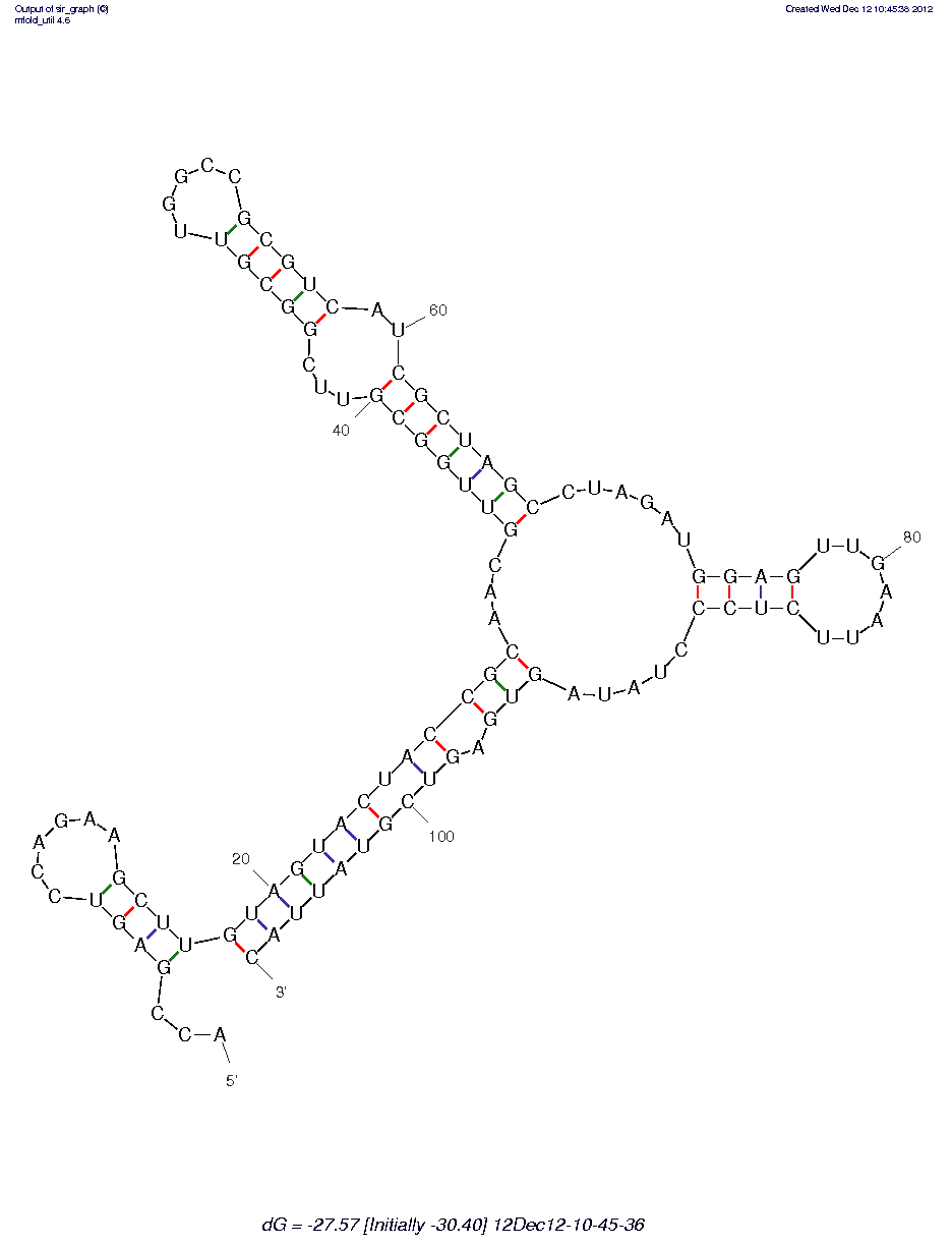 Trypanosoma cruzi-Heparan Parasite Receptor (HS6)