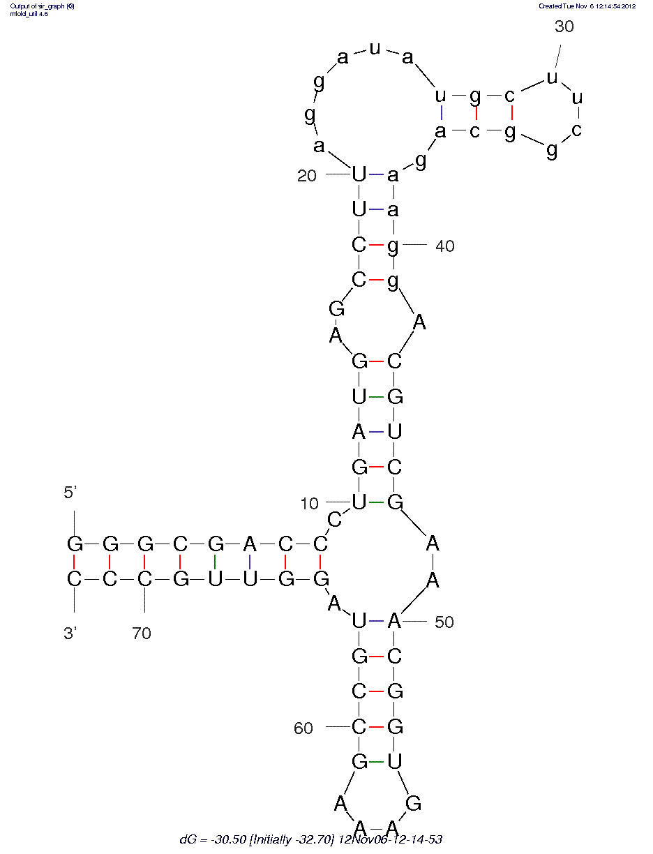 FMN-induced molecular switch