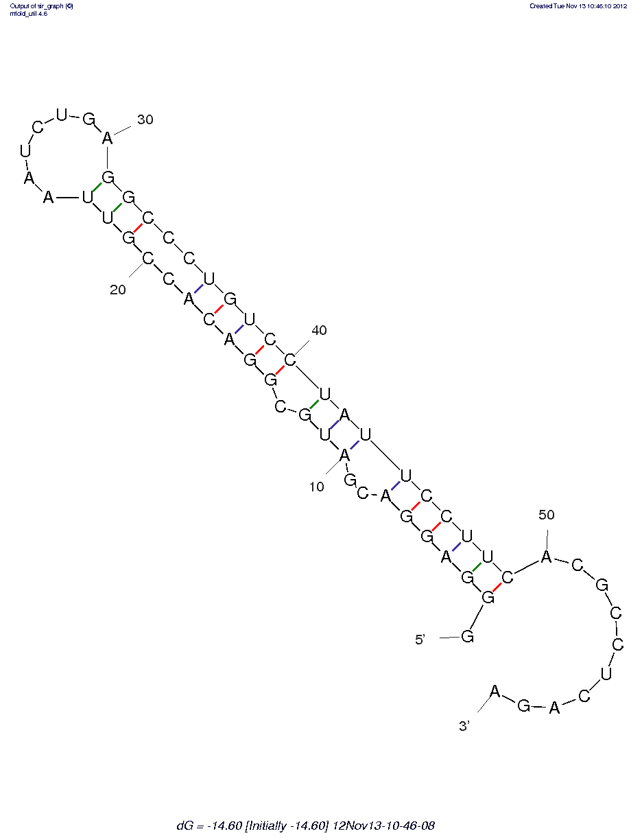 Interferon-γ (2'F-1)