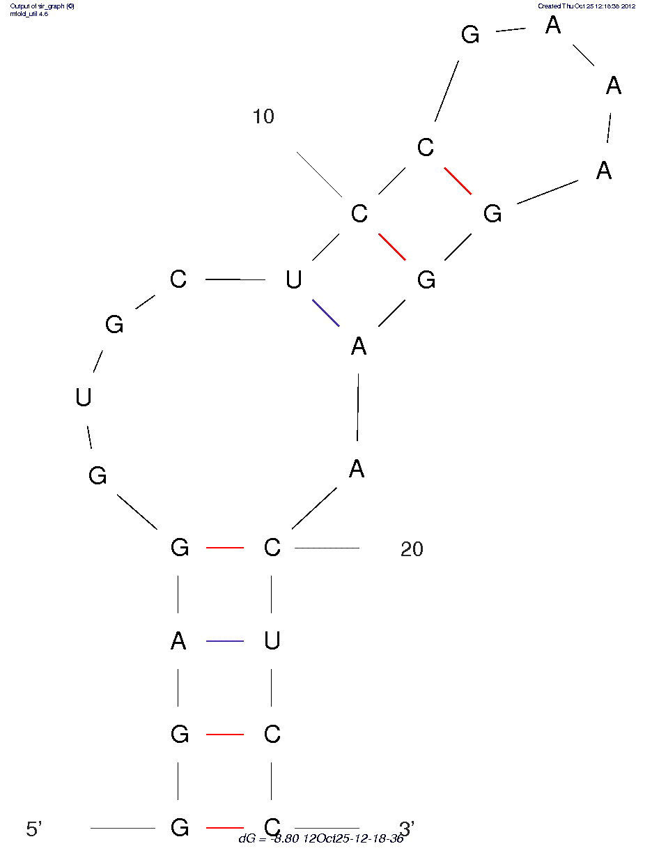 Human Immunoglobulin G (IgG) (Apt 8)