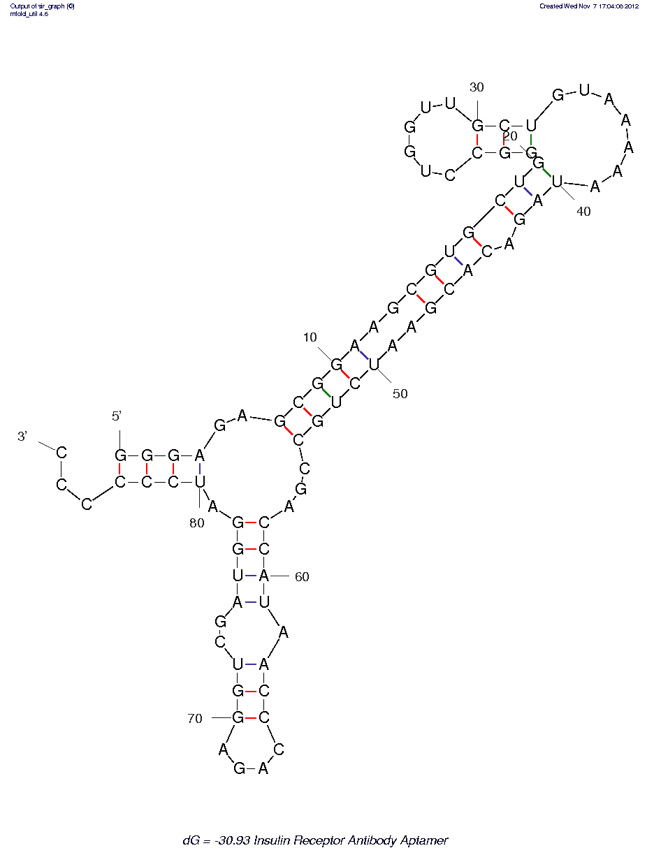 Insulin Receptor Antibody (MA20) (#1)