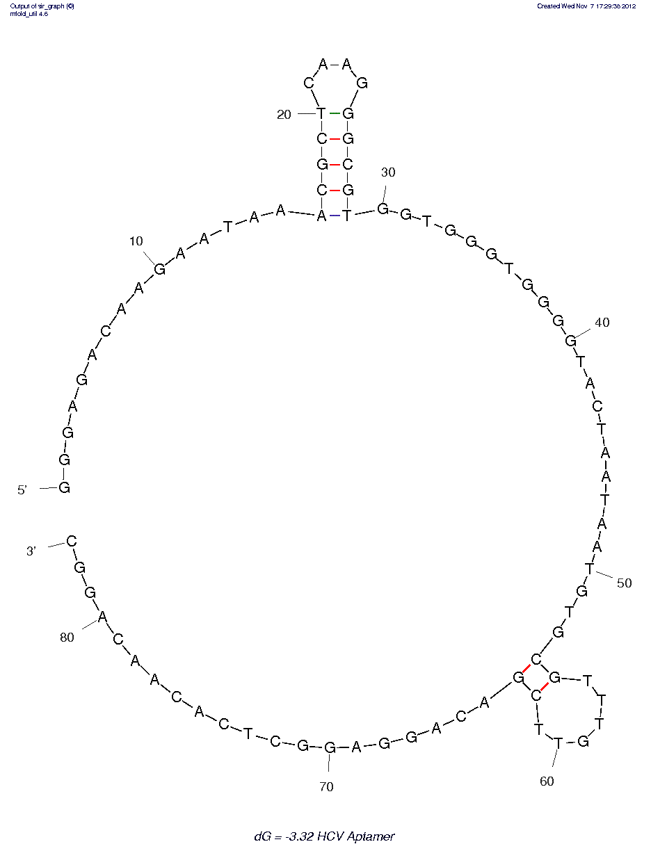 Hepatitis C Virus RdRp (r10/43)