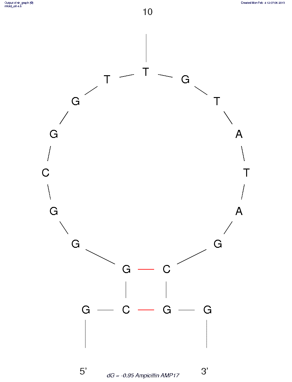 Ampicillin (AMP17)