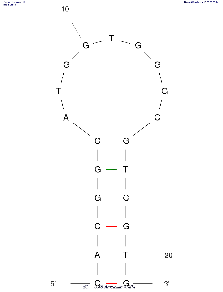 Ampicillin (AMP4)