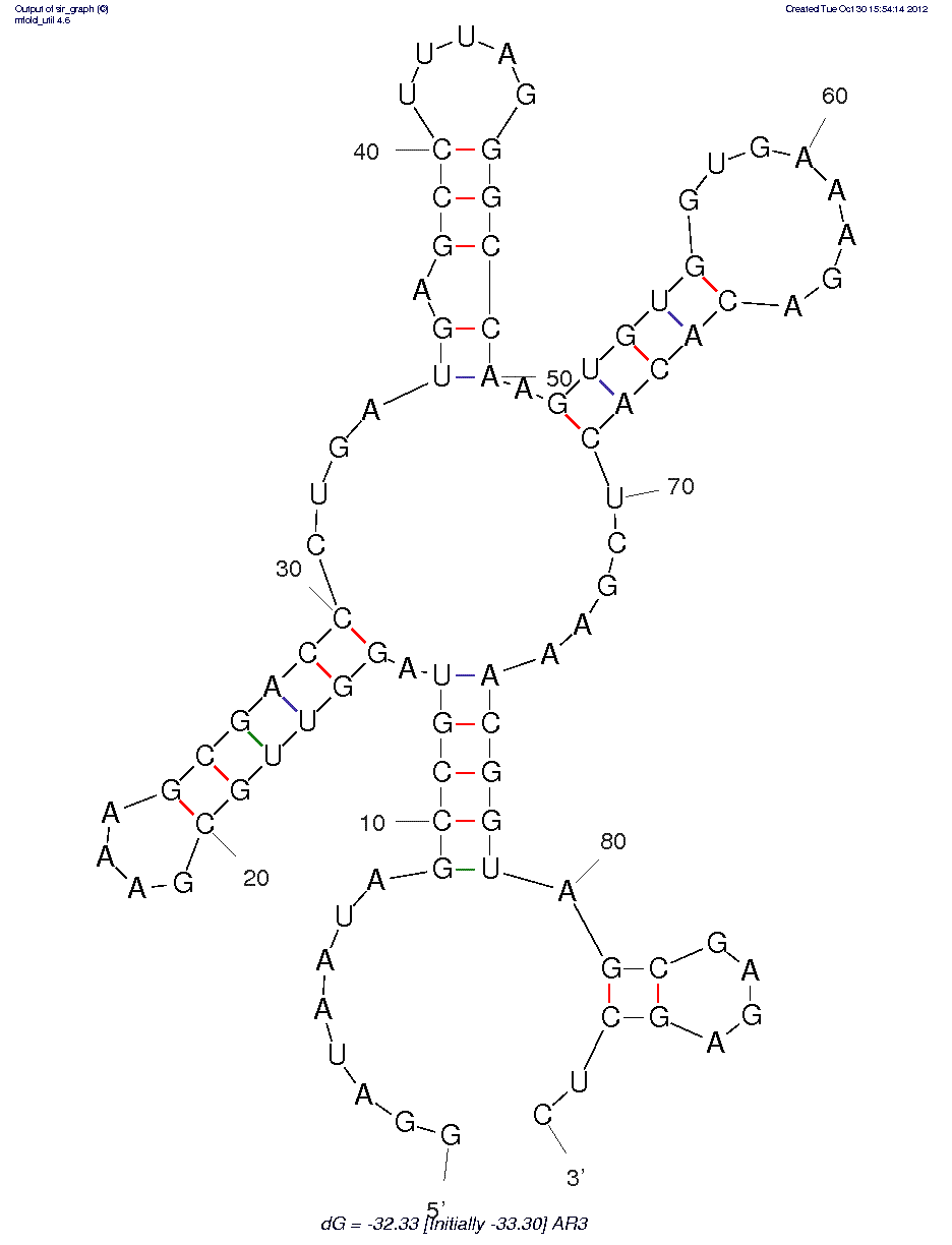Cyclic Cytidine Monophosphate (AR3)