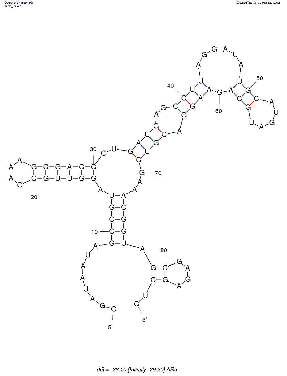 Flavin Mononucleotide (AR5)