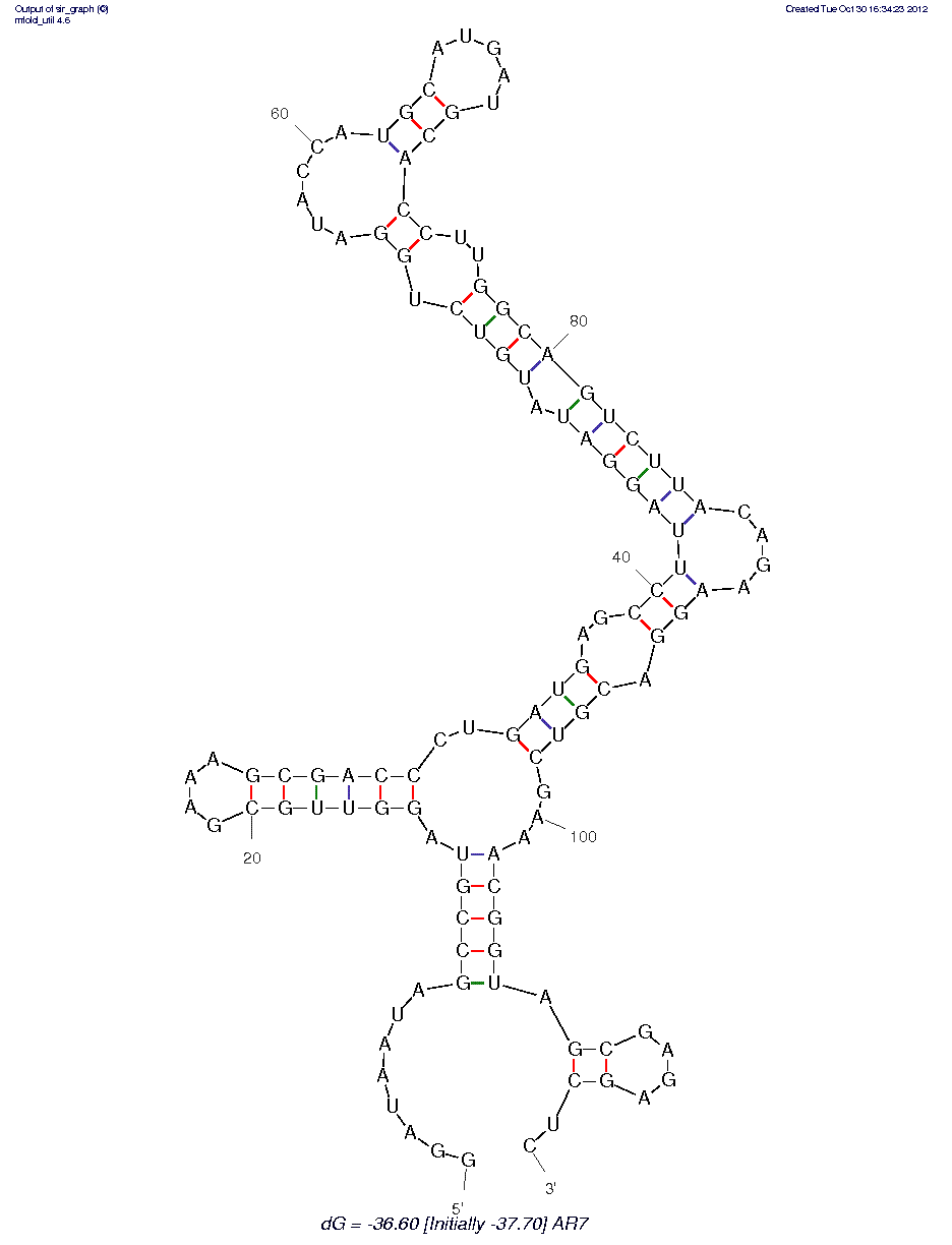 Theophylline + Flavin Mononucleotide (AR7)