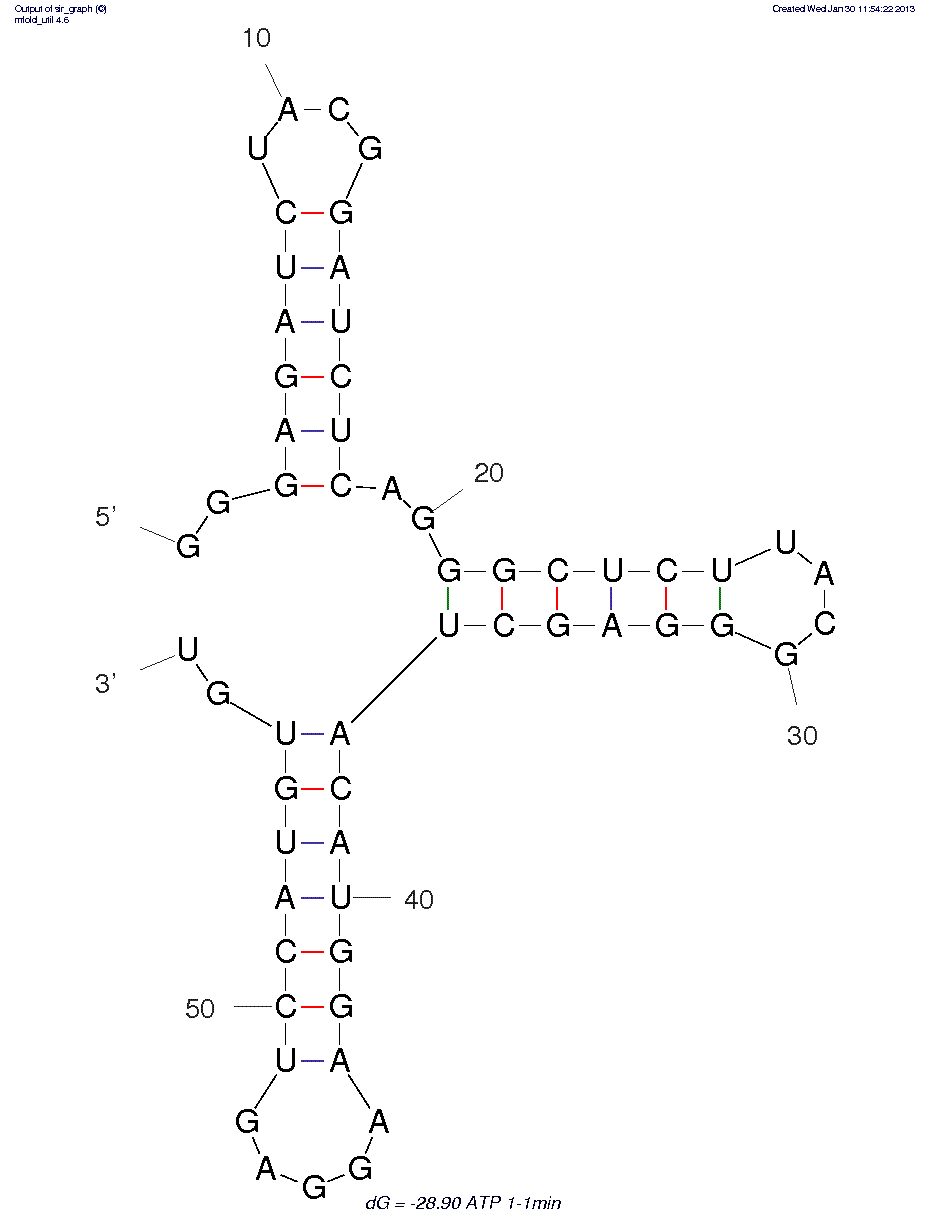 Adenosine Triphosphate  (1-1MIN)