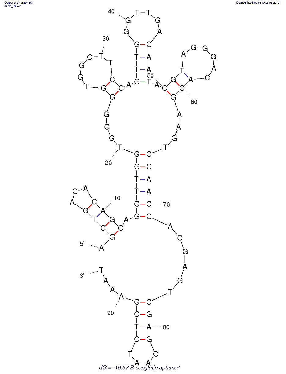 Lup an 1 allergen, ??-Conglutin (#40)