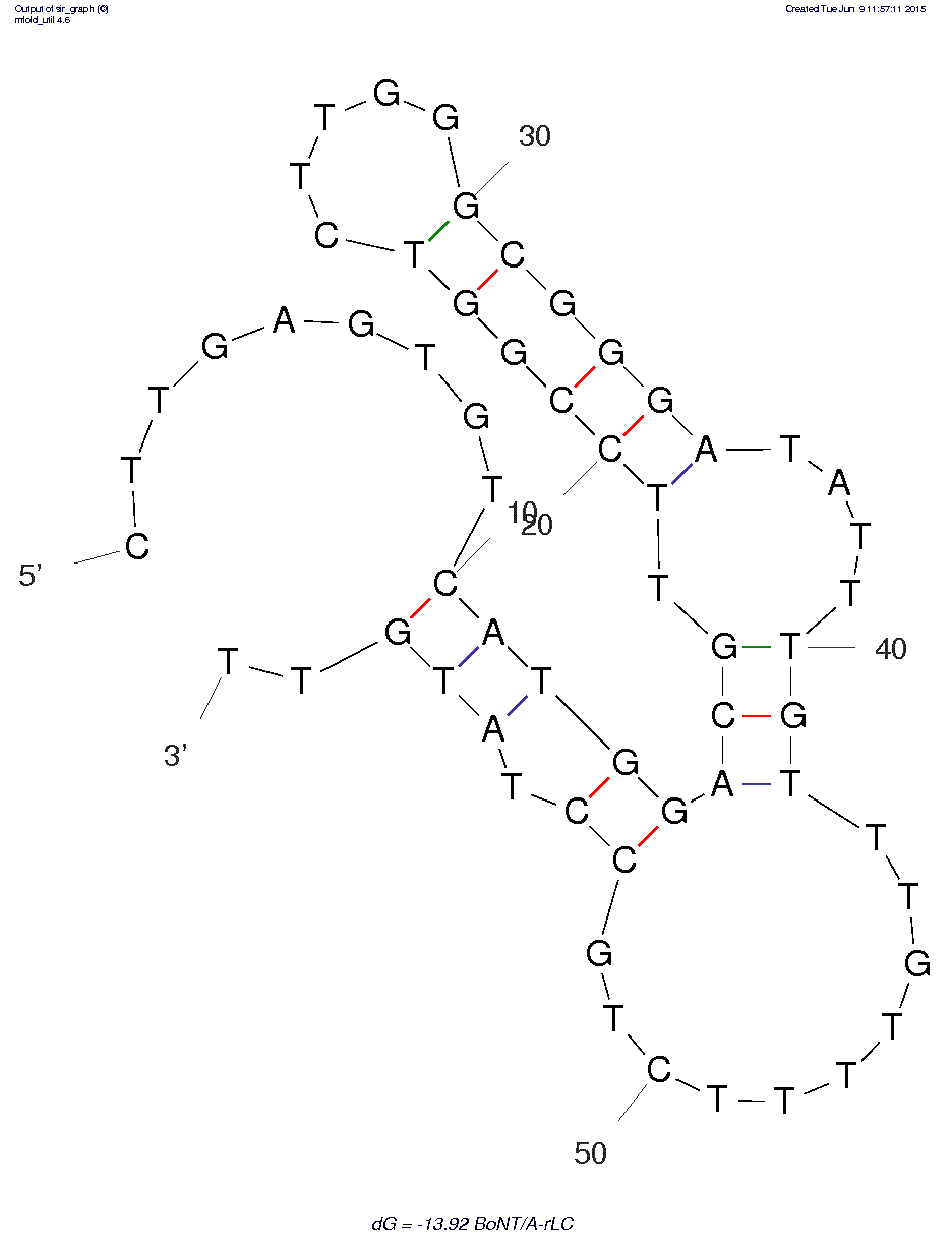 Botulinum neurotoxin type A (BoNT A) Aptamer