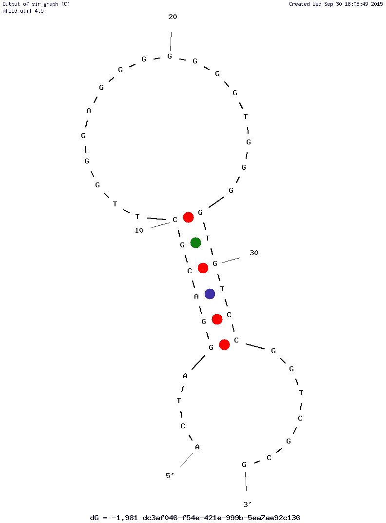 C5s Anti-Antibody