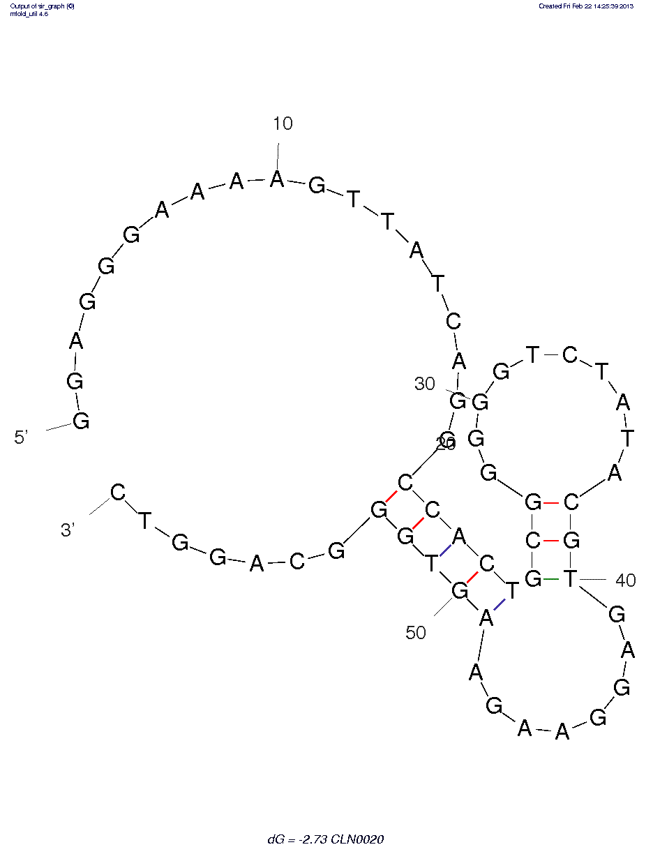 Fcγ receptor IIIα / CD16α (CLN0020)