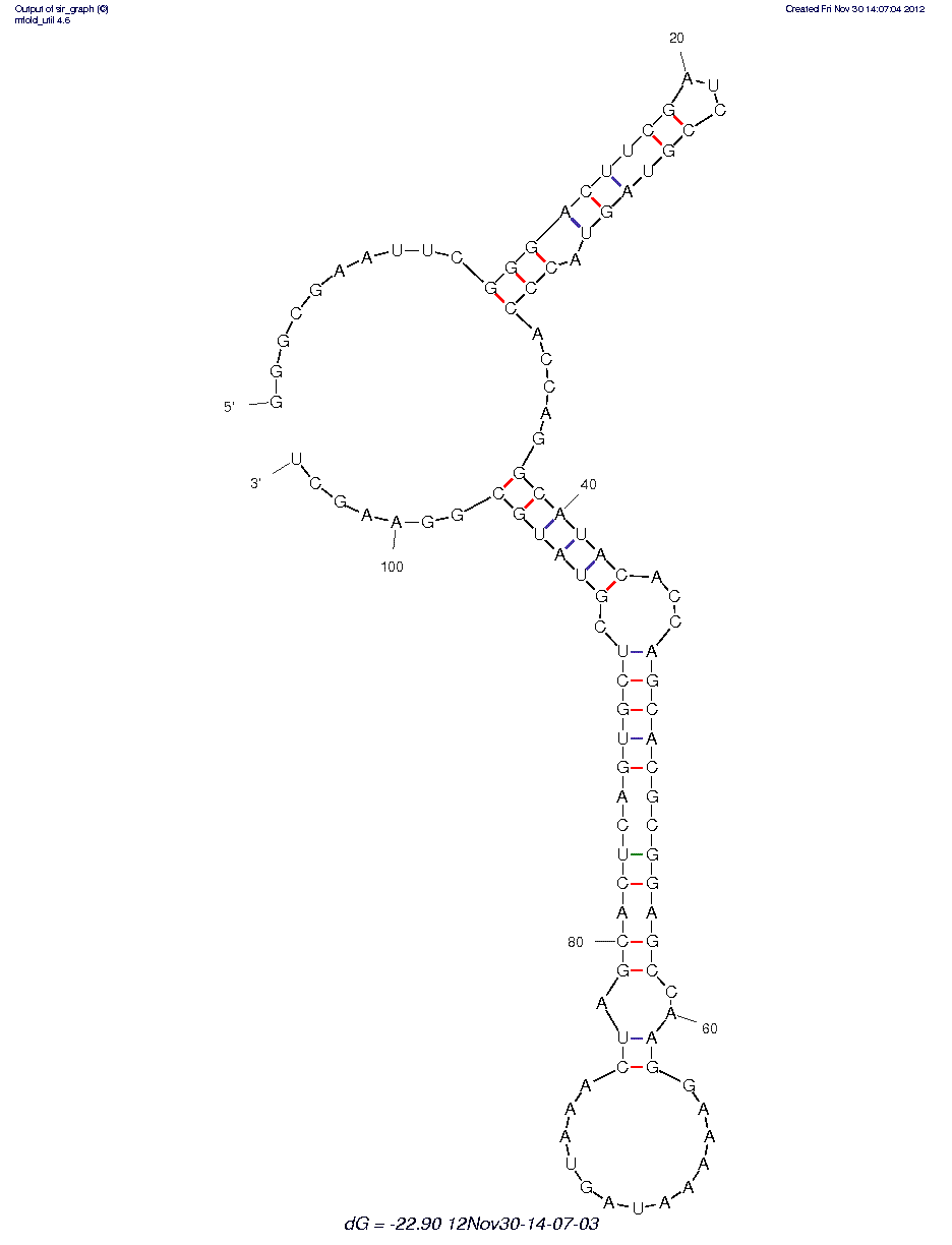 C-Reactive Protein (CRP1-1)