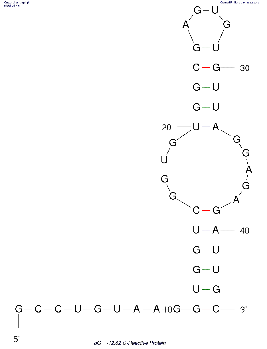 C-Reactive Protein