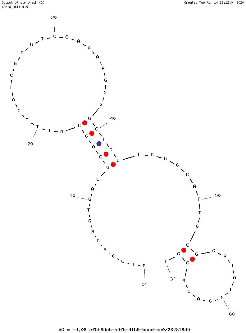 SARS-CoV-2 RBD-4C