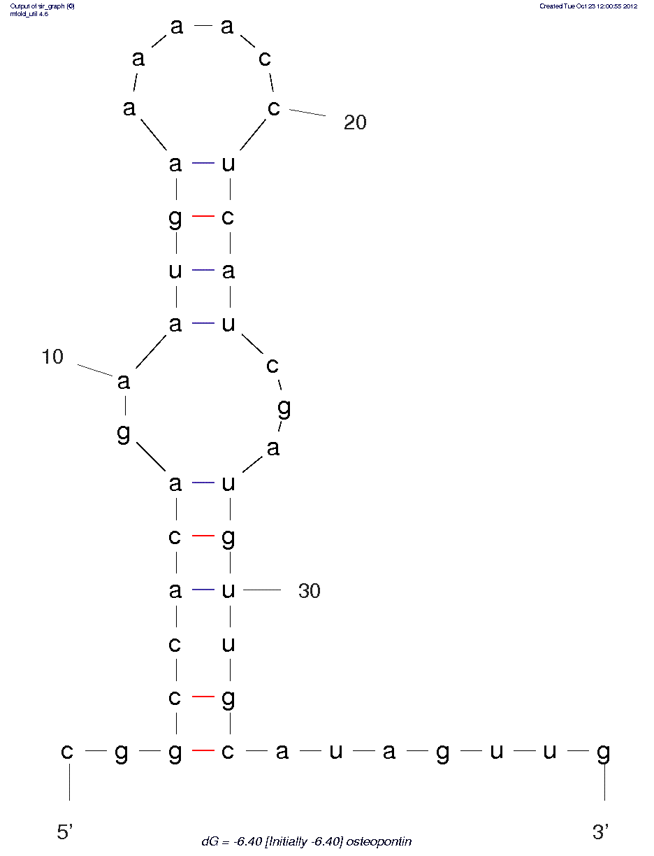 Osteopontin (2-O-Me OPN-R3)