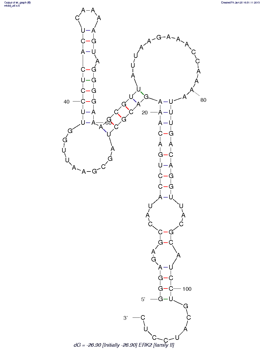 ERK 1/ ERK2 (Family II)