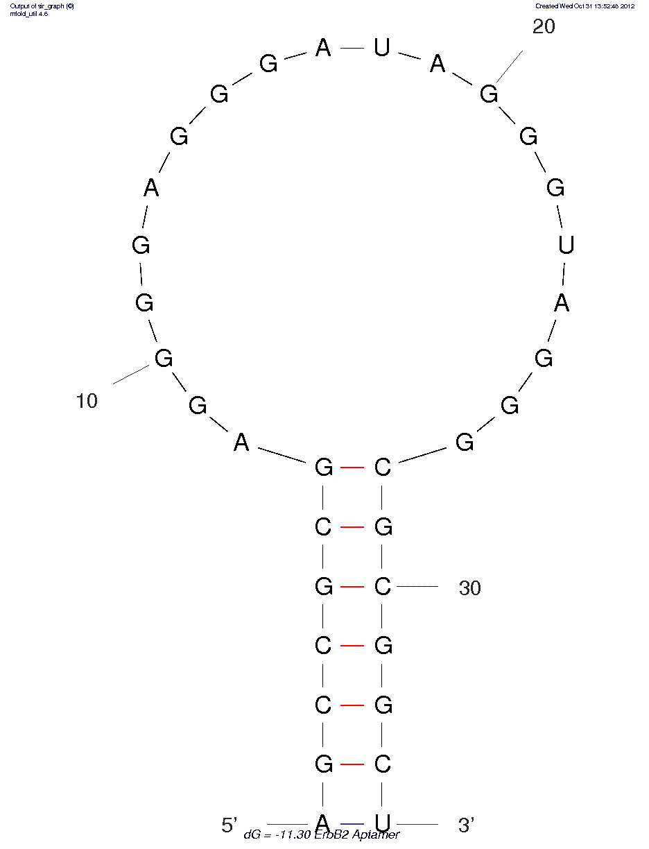 ErbB2 (SE15-8) ErbB2 (SE15-8)