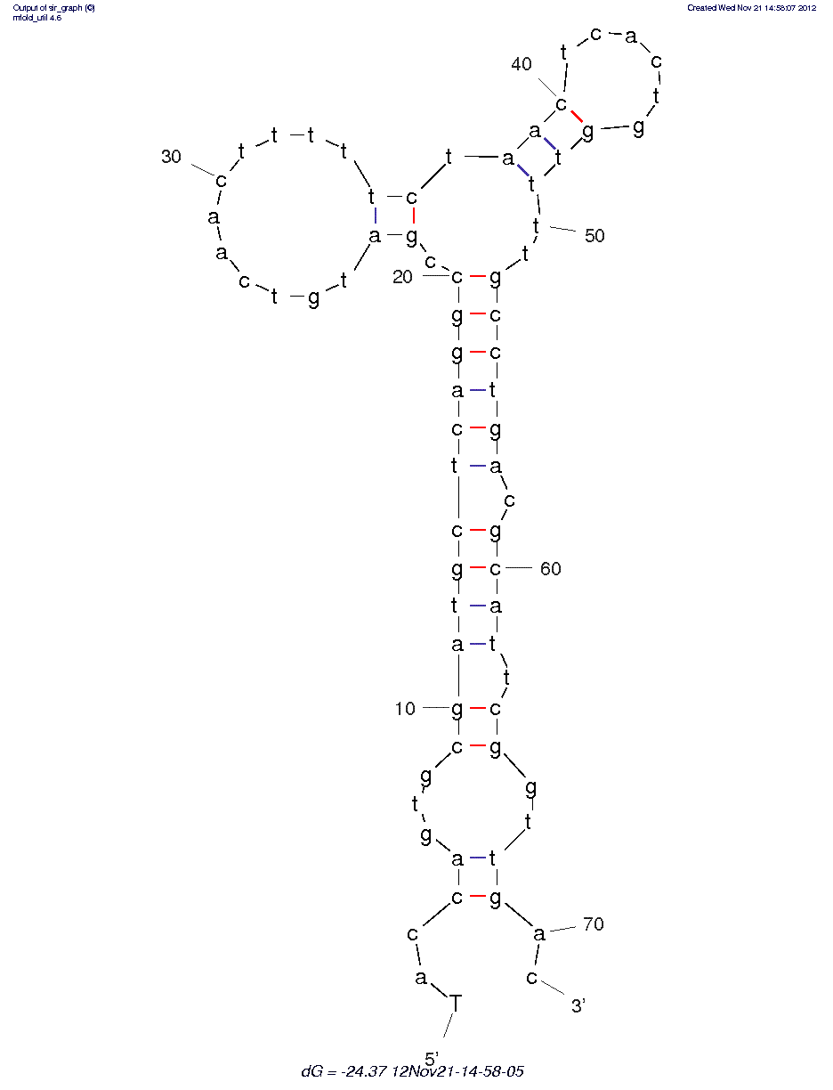 Small-Cell Lung Cancer (HCH07)