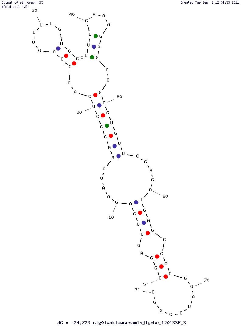 HIV-1 Integrase (P5)