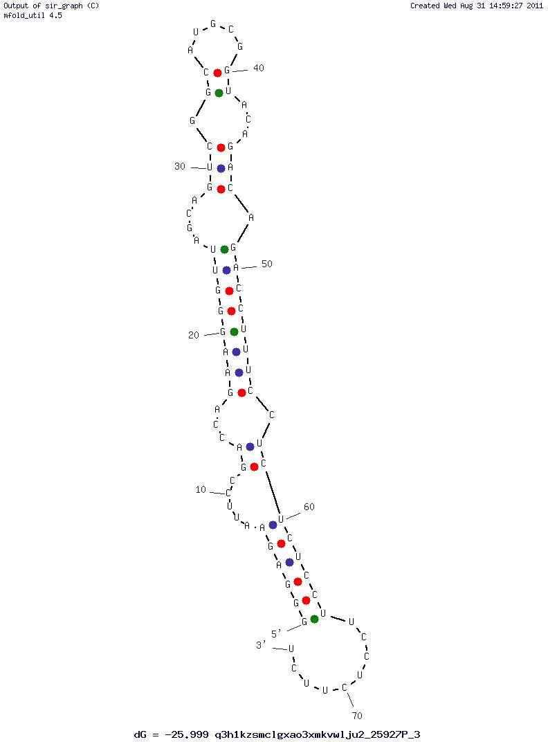 Human Influenza A virus H3N2 (P30-10-16)