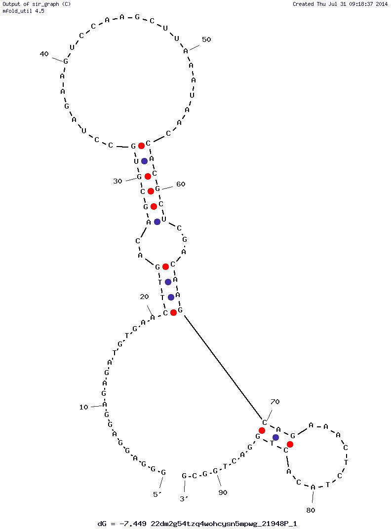 Botulinum neurotoxin type A (BoNT A) Aptamer (S132B-C22)