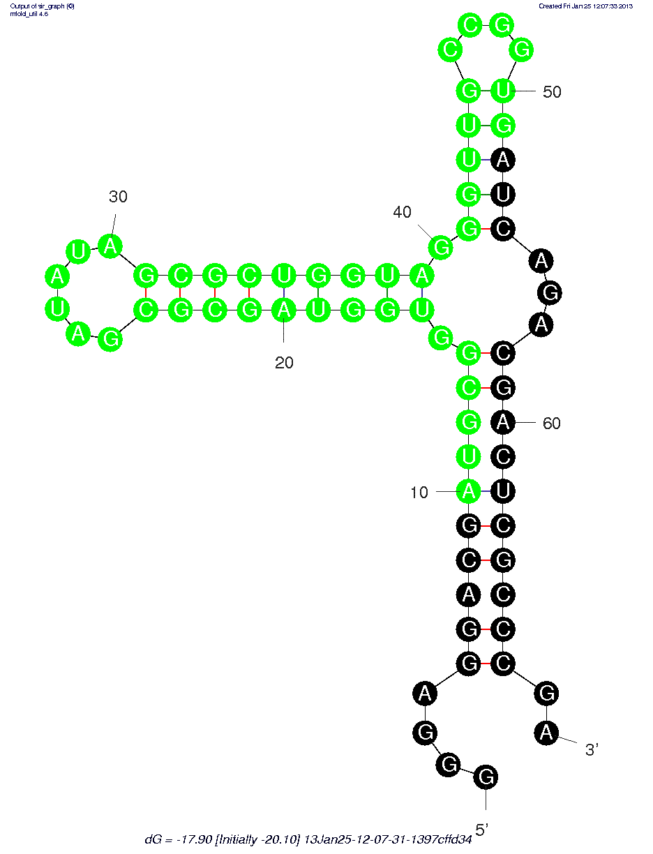 Interferon-γ (2'NH2-17)