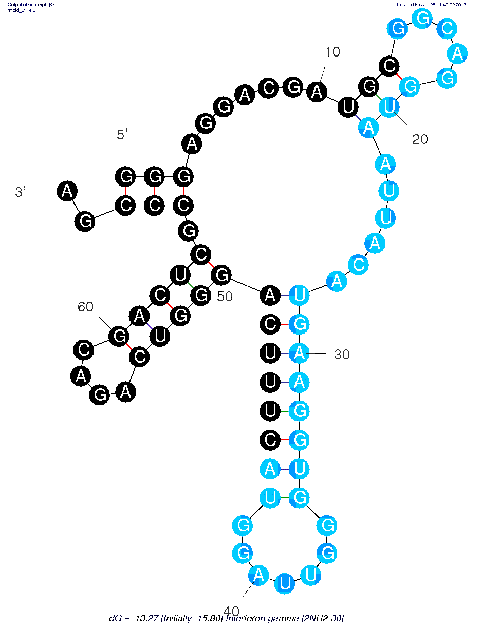 Interferon-? (2'NH2-30)