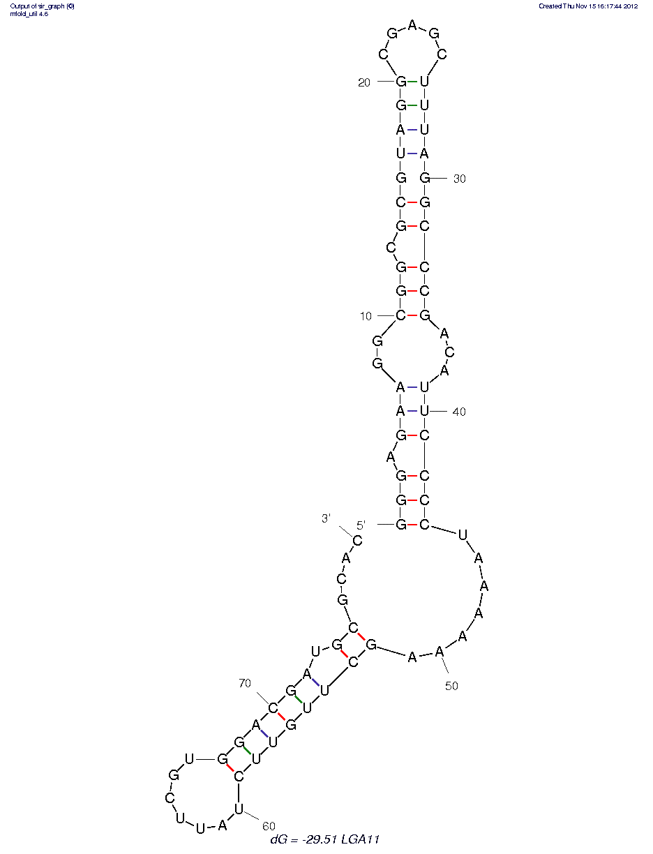 Kanamycin (LGA11)