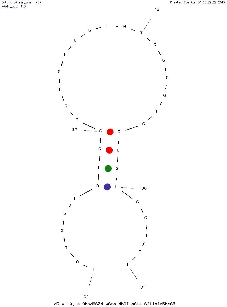 B23 LH aptamer