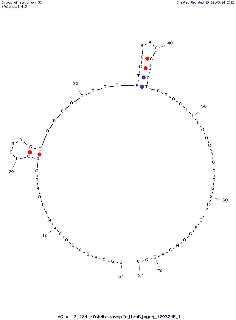 Tumour Marker MUC1 (S1.6)