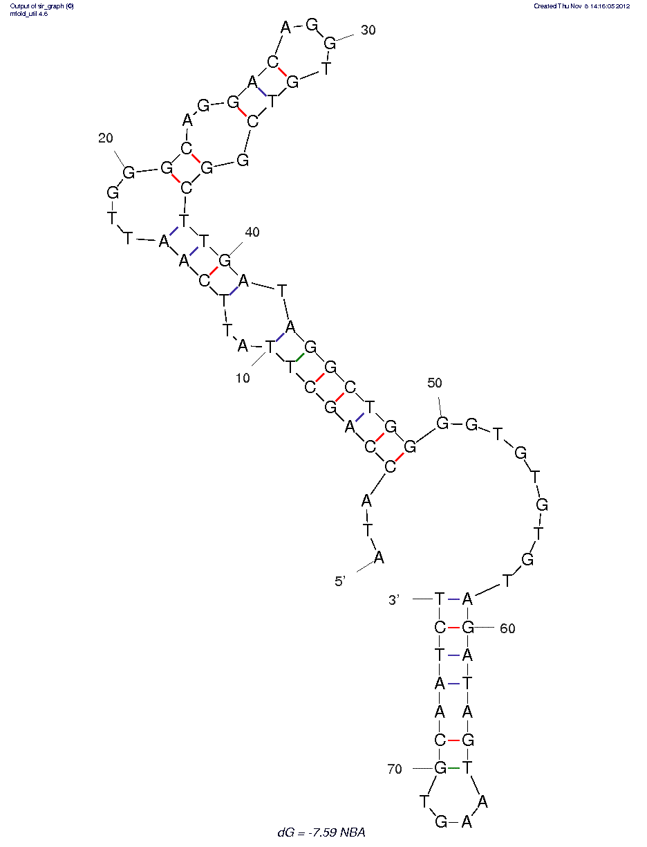 Nampt binding aptamer (NBA)