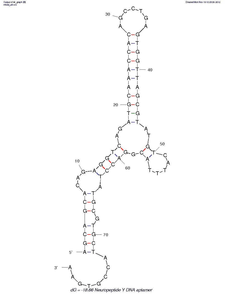 Neuropeptide Y (Clone 4.31)
