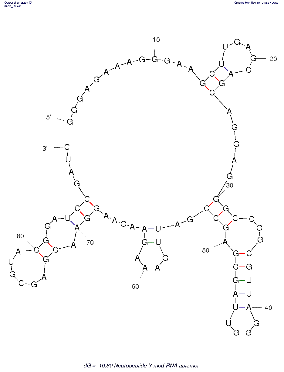 Neuropeptide Y (DP3)