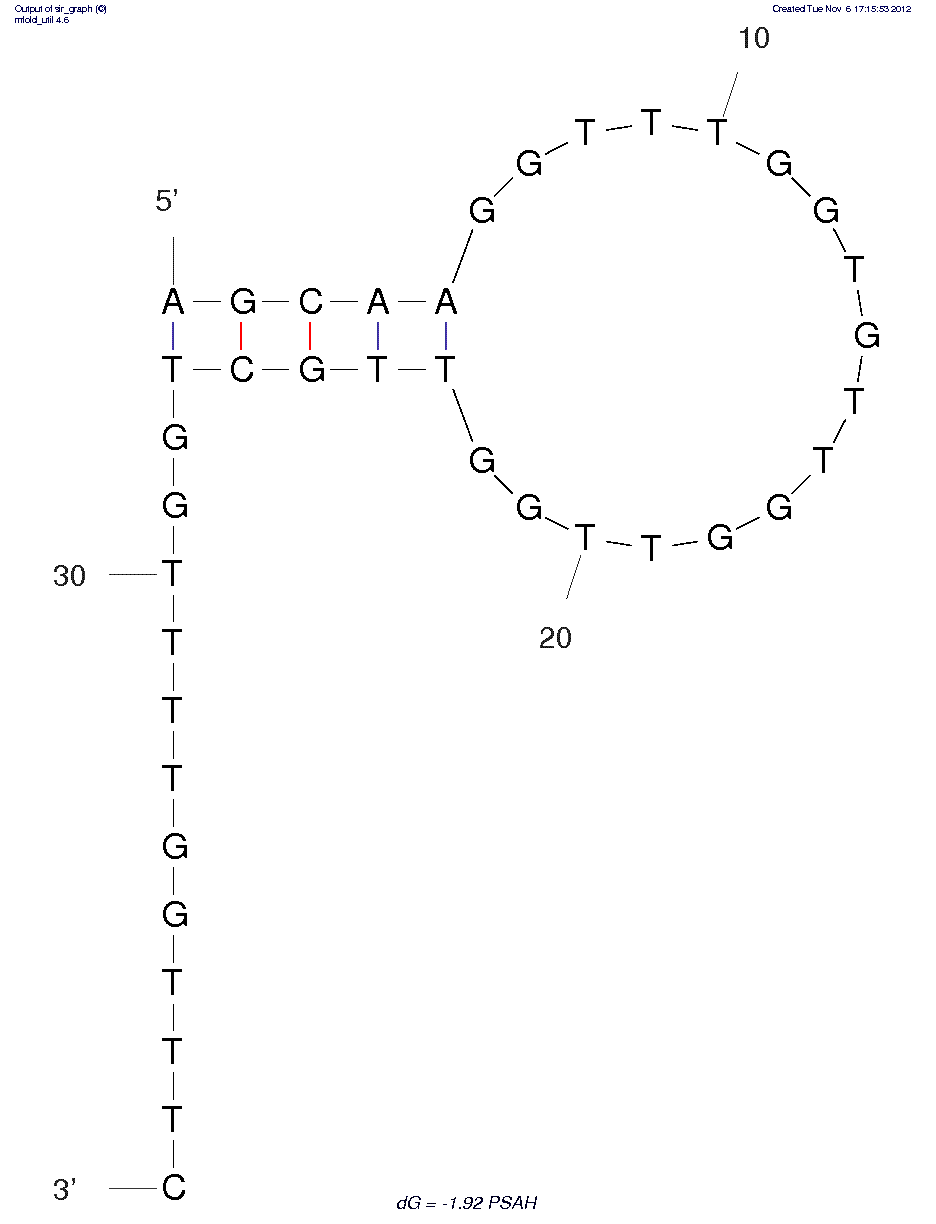 Apple Stem Pitting Virus of PSAH PearIsolate