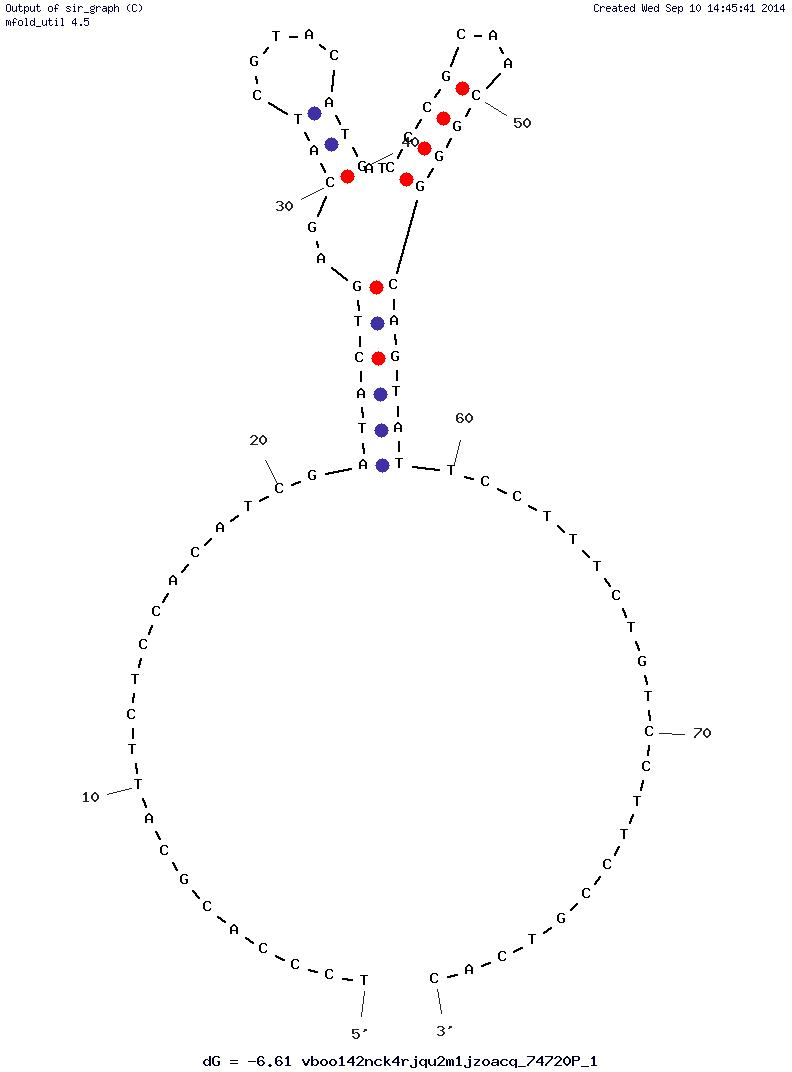 Aptamer ID 2