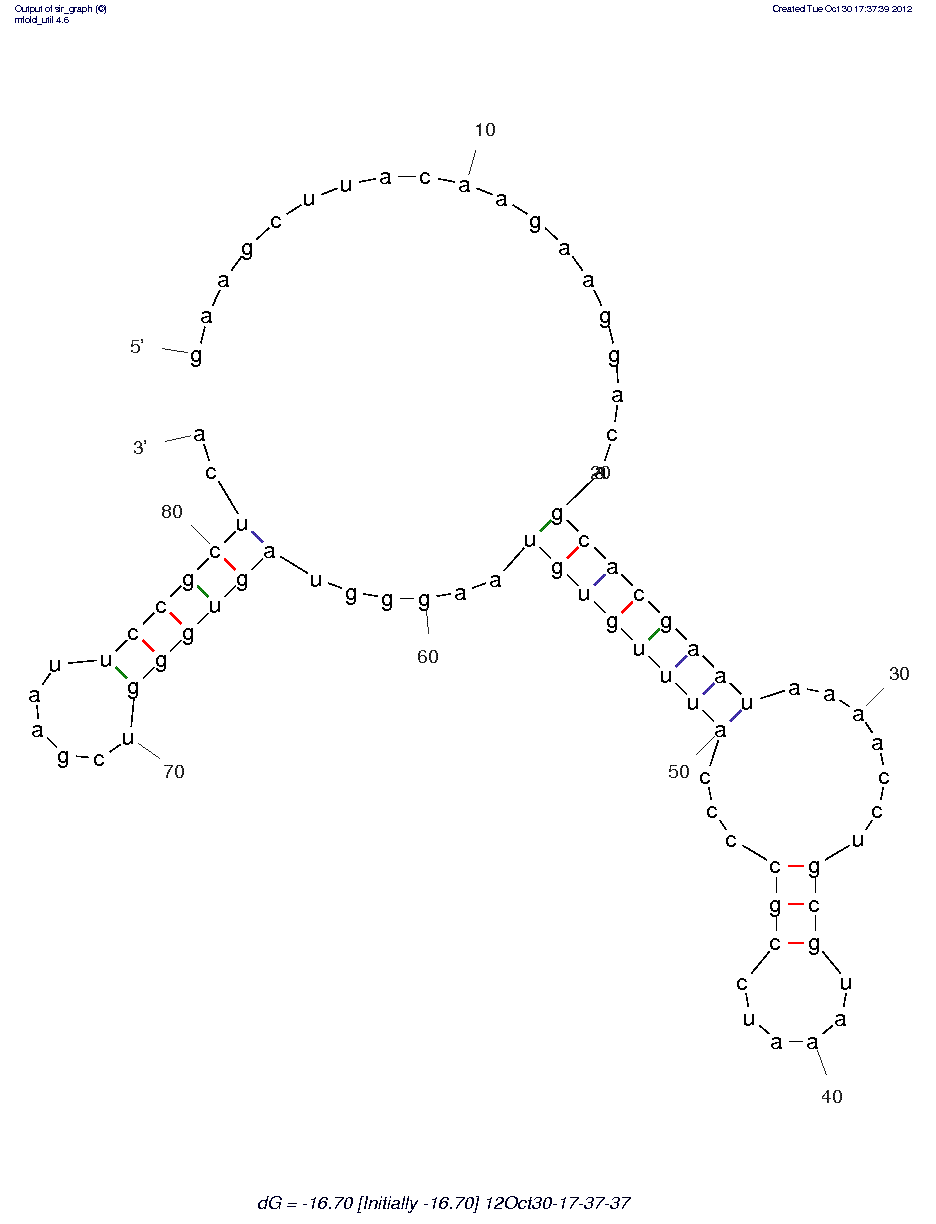 Anti-NF-kB p65 (R1)