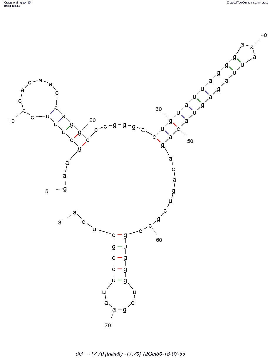 Anti-NF-kB p65 (R2)