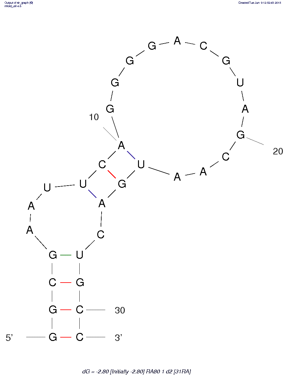 Ricin A-chain (RTA) Aptamer (RA80.1.d2 - 31RA)