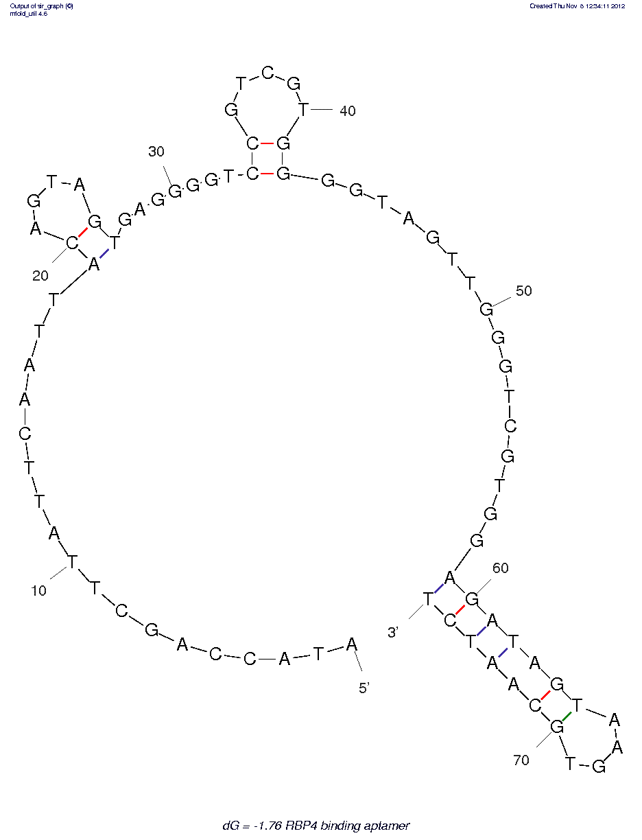 RBP4 binding aptamer (RBA)