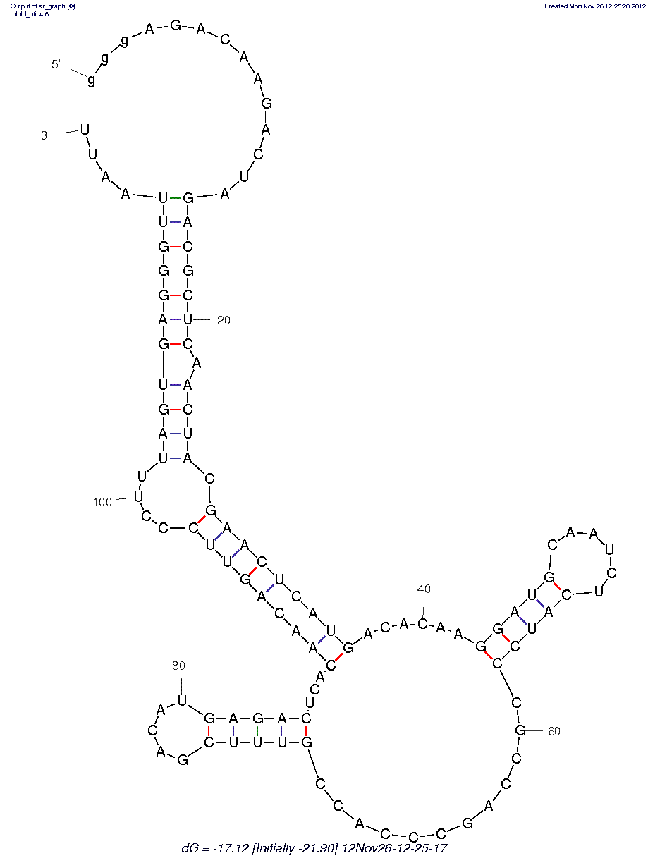 PrP Fibrils (SAF-93)