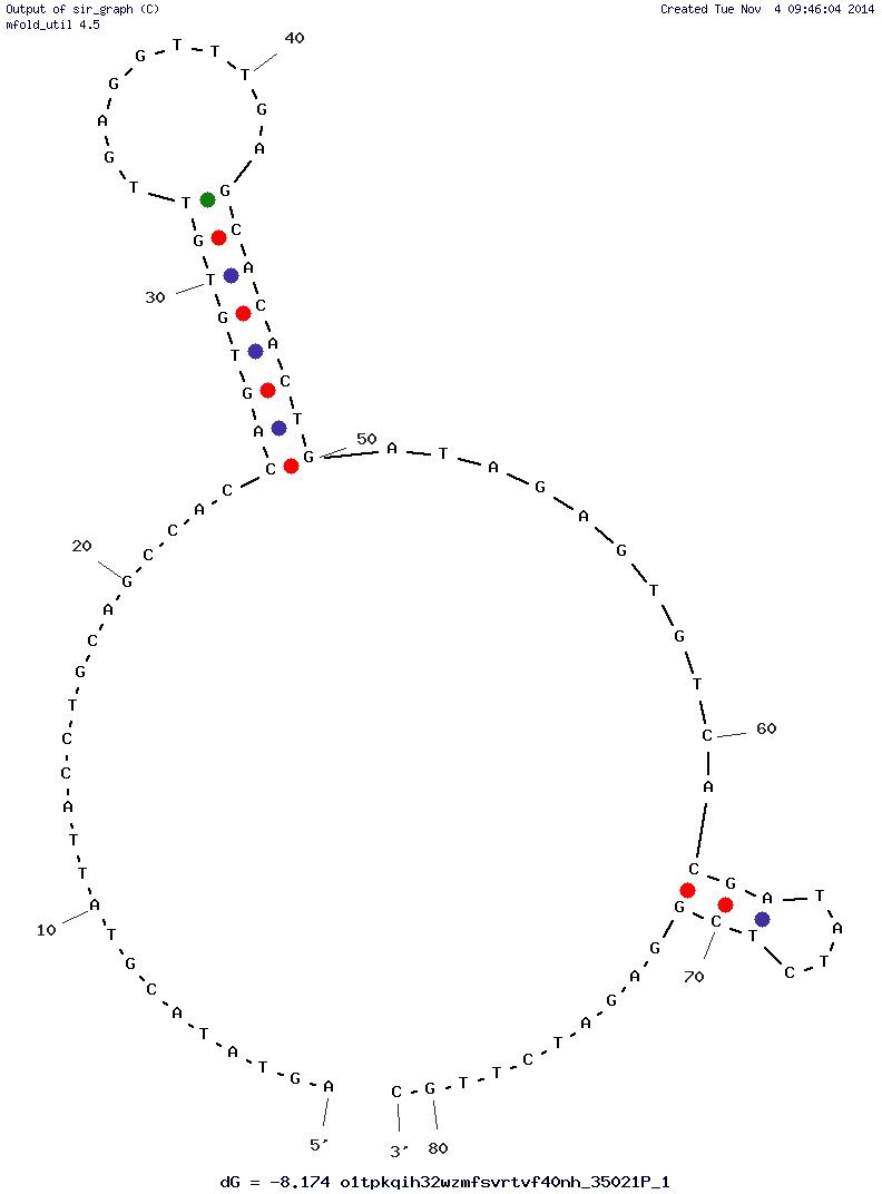 Human Norovirus SMV-19