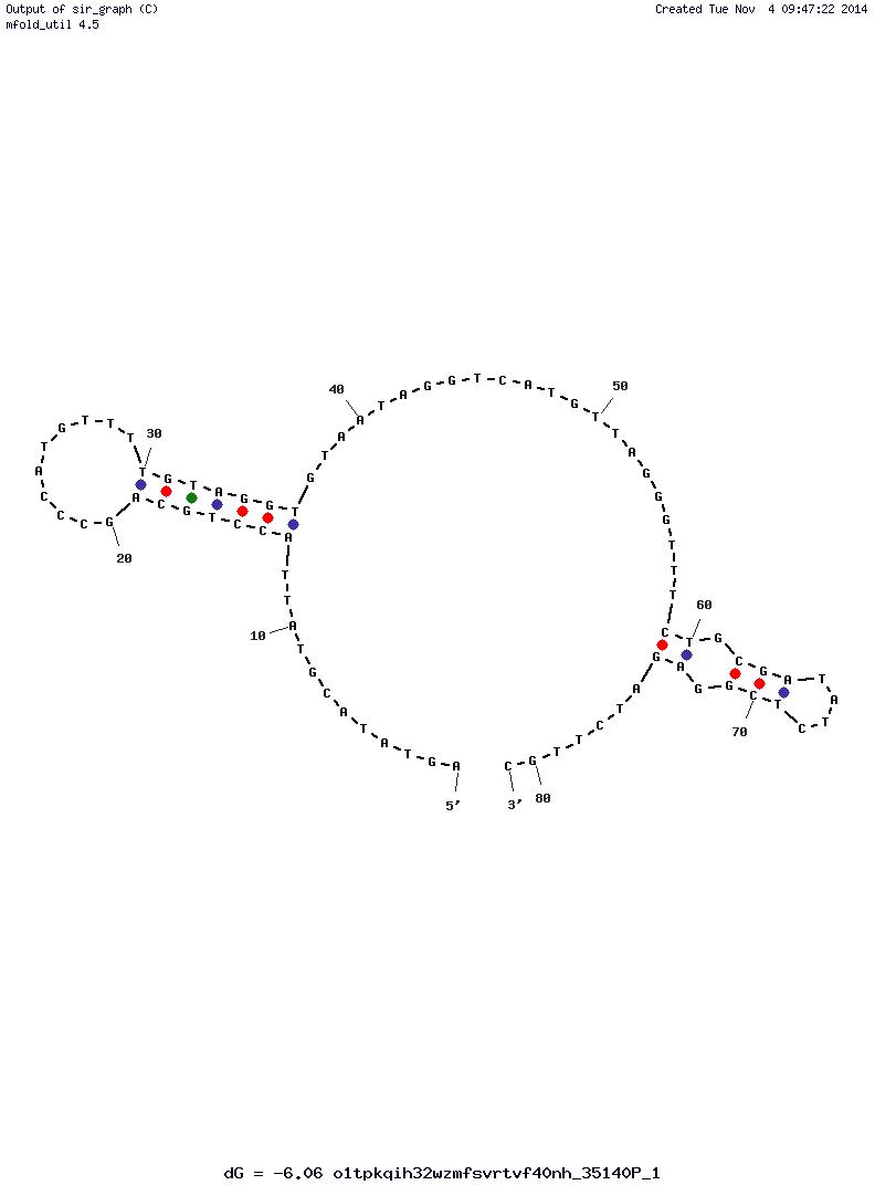 Human Norovirus SMV-21