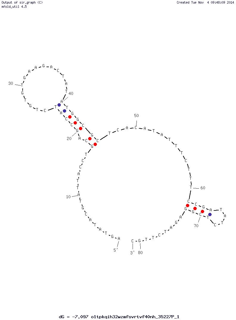 Human Norovirus SMV-25