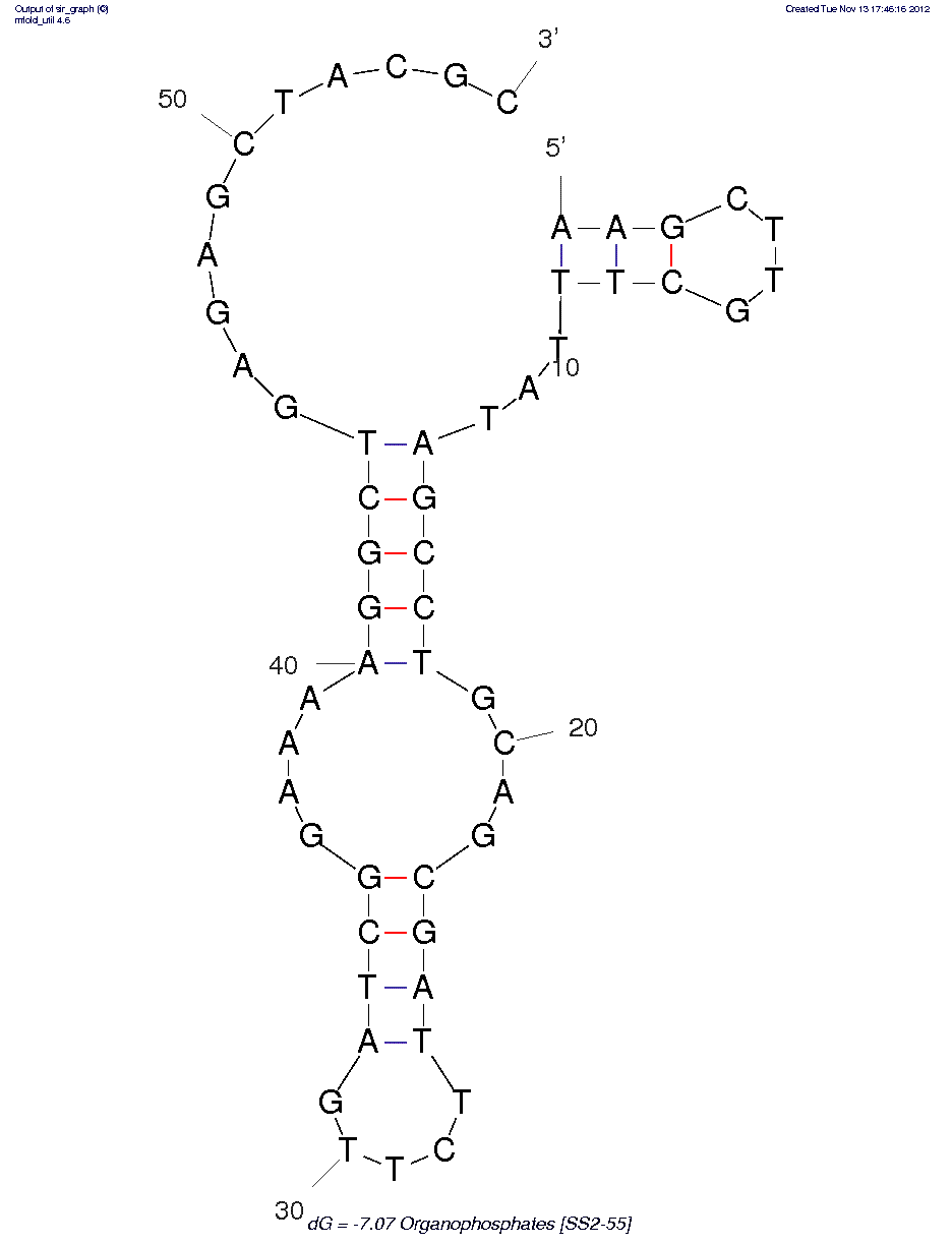 Phorate (SS2-55)