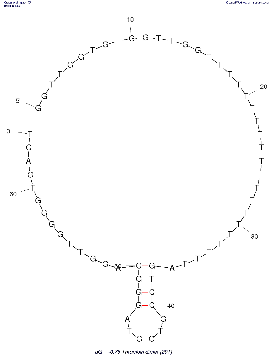 Thrombin (15mer-29-mer dimer with 20T linker)