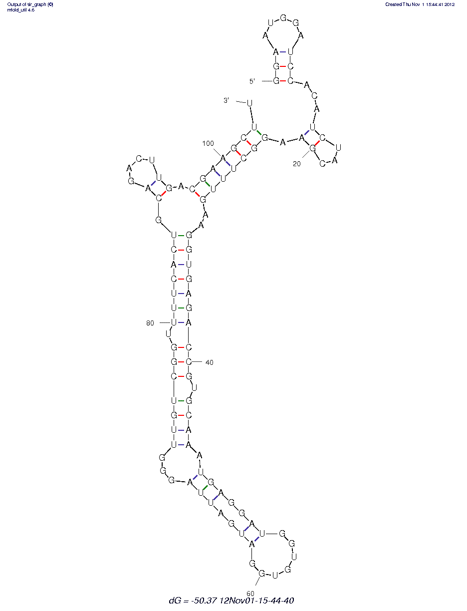 RNA Tobramycin Molecular Beacon (BA 14-2)