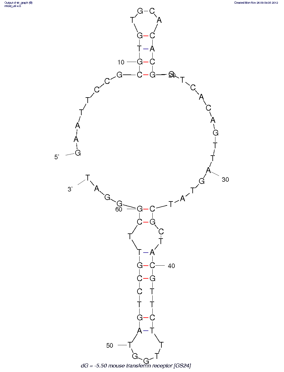 Mouse Transferrin Receptor (GS24)